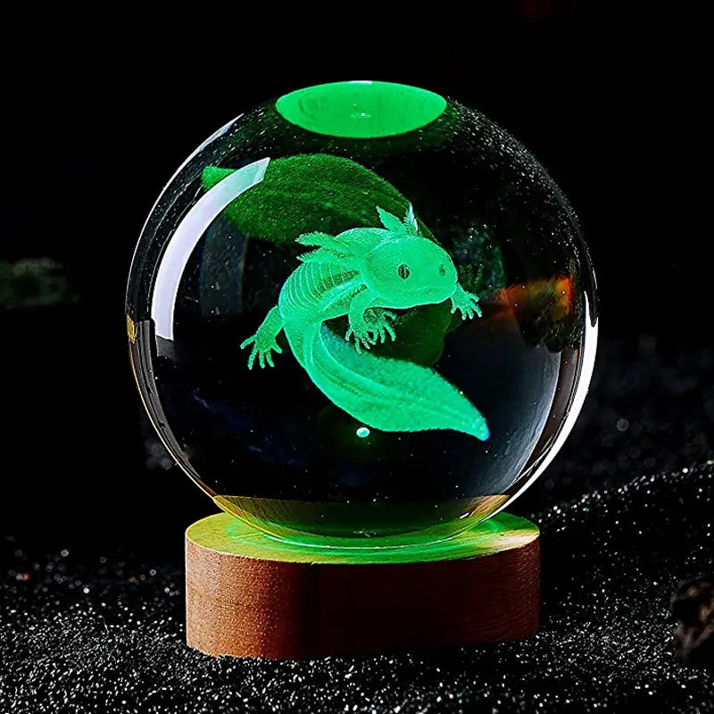 3D Axolotl Display